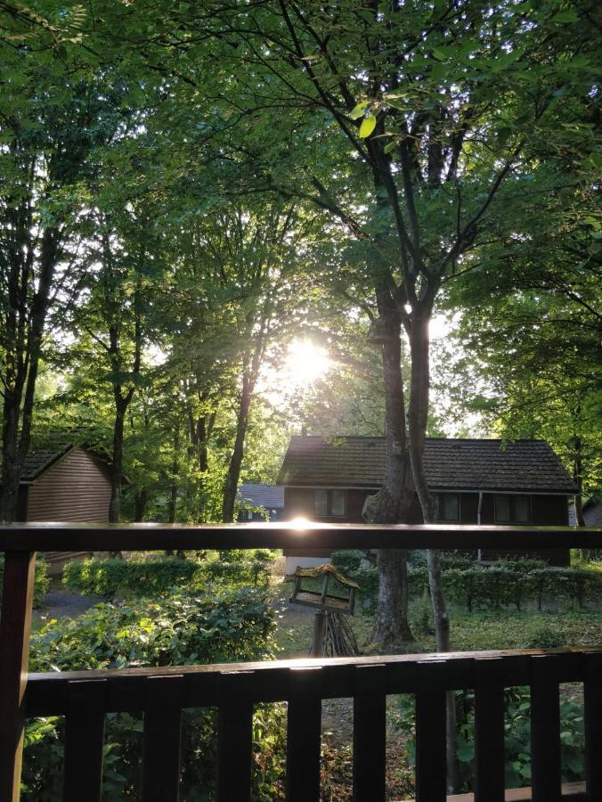 Chalet234 In La Boverie Rendeux Luaran gambar